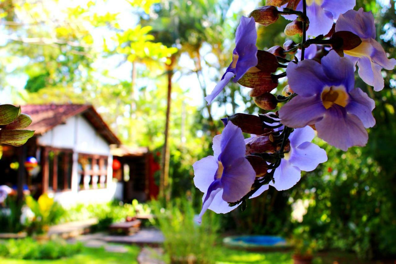 Recanto Das Andorinhas Studios Paraty Exterior photo